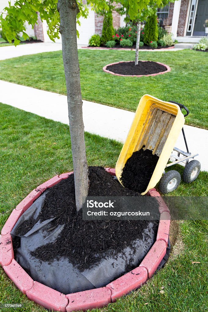 Dumping Mulch Dumping Mulch around the trees and shrubs, yard maintenance is fun. Weed barriers are very useful. Agriculture Stock Photo