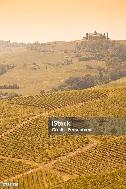 Toscana Vinha - Fotografias de stock e mais imagens de Agricultura - Agricultura, Aldeia, Ao Ar Livre