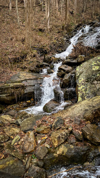 istock Amicalola Falls State park in Georgia on a cold morning 1773620133