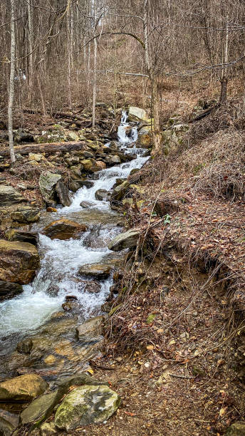 istock Amicalola Falls State park in Georgia on a cold morning 1773620171