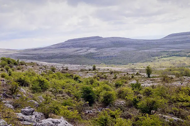 "The Burren is a karst-landscape regionin northwest County Clare, in Ireland. Irish fences"