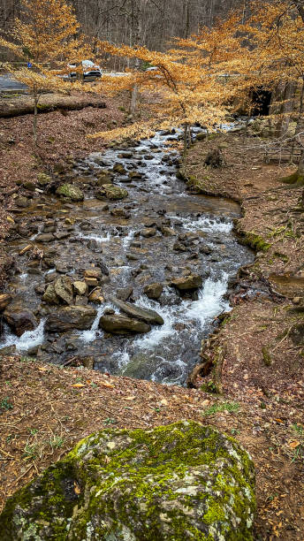 istock Amicalola Falls State park in Georgia on a cold morning 1773620409