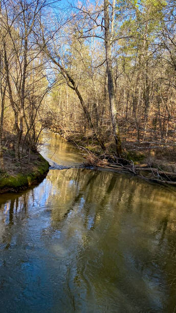 istock Amicalola Falls State park in Georgia on a cold morning 1773622316