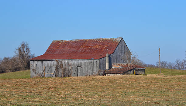 istock Tobacco Barn with Rusted Roof 177363138
