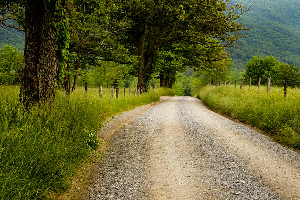 istock Road in the Country 177363798