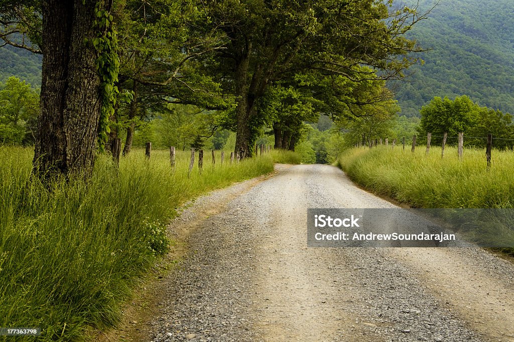 Estrada do país - Foto de stock de Tennessee royalty-free