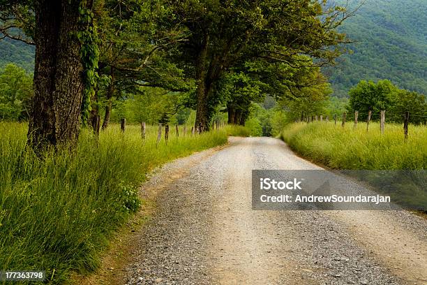 Foto de Estrada Do País e mais fotos de stock de Tennessee - Tennessee, Appalachia, Beleza natural - Natureza