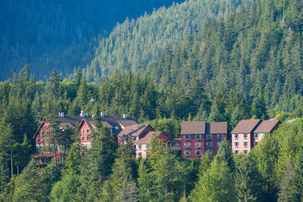 istock houses on the mountain in the green tree forest 1773652951