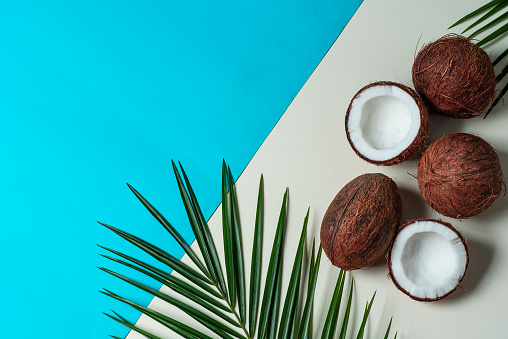 Summer abstract composition. Coconut and palm leaves on light blue and white background. Summer concept, top view, copy space