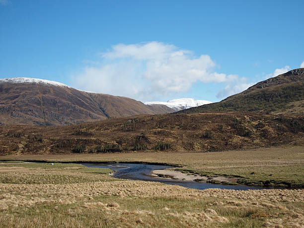 glen affric scozia in primavera - munros foto e immagini stock