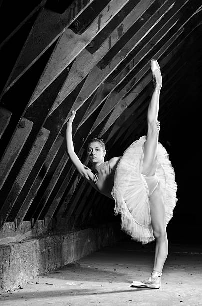 istock Ballerina in hangar 177366460
