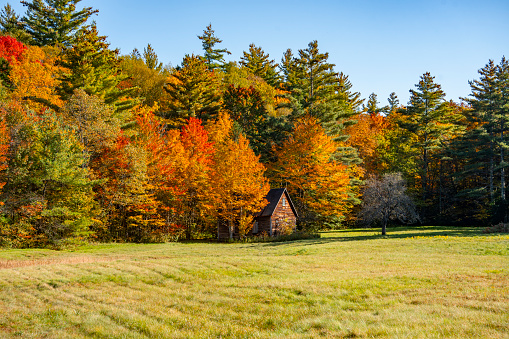 old rustic wooden house and autumn colorful tree