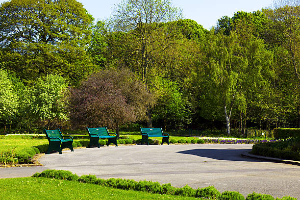 istock Peaceful Park in the city 177369691