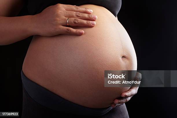 A Gravidez - Fotografias de stock e mais imagens de Abdómen - Abdómen, Abdómen Humano, Adulto