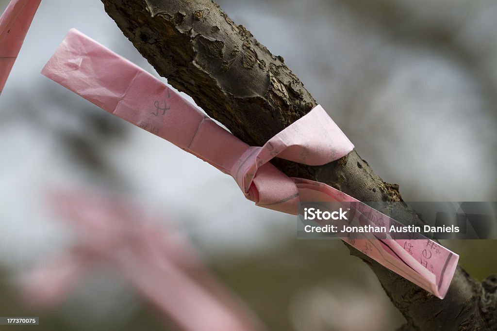 Rosa Fortune Slip annodato su un ramo della struttura ad albero - Foto stock royalty-free di Albero