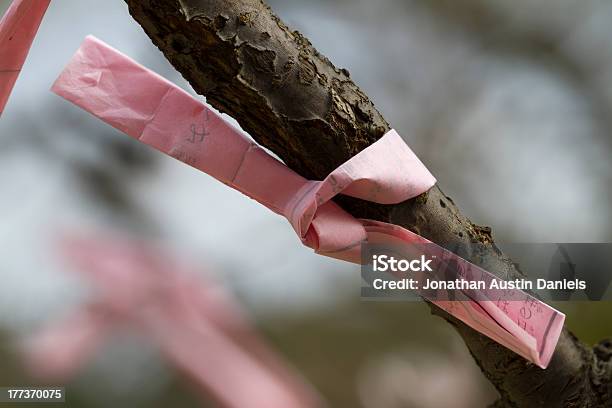 Rosa Fortune Slip Annodato Su Un Ramo Della Struttura Ad Albero - Fotografie stock e altre immagini di Albero