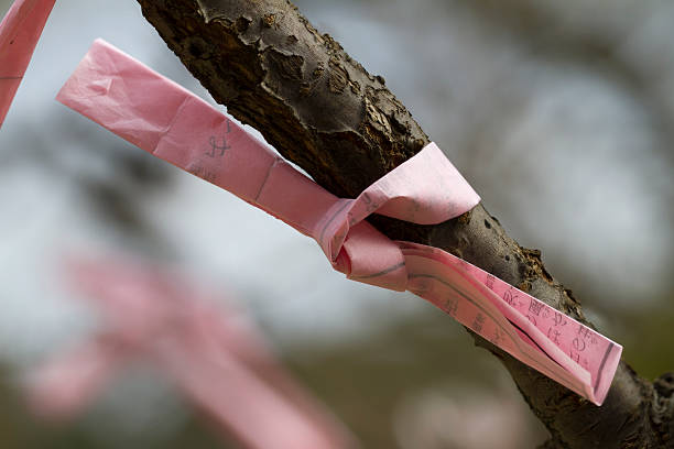 istock Pink Fortune Slip Tied to a Tree Branch 177370075