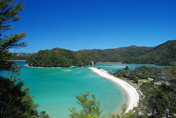 istock Torrent Bay in high-tide 177370102