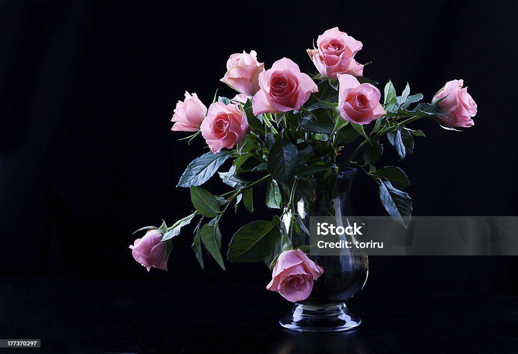 Rose - Foto stock royalty-free di Bellezza naturale