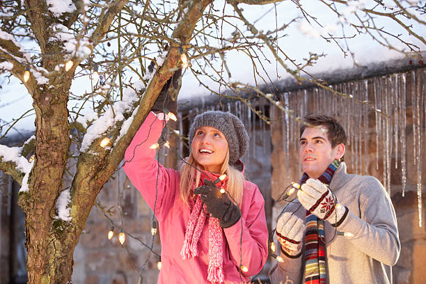 Two Teenagers Hanging Fairy Lights In Tree stock photo