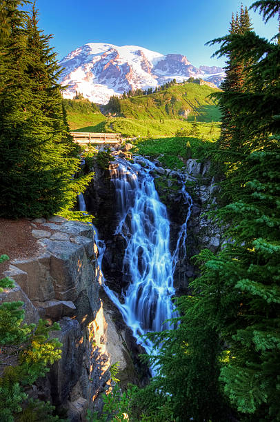 Mount Rainer National Park Myrtle falls at Mount Rainer National Park mt rainier national park stock pictures, royalty-free photos & images