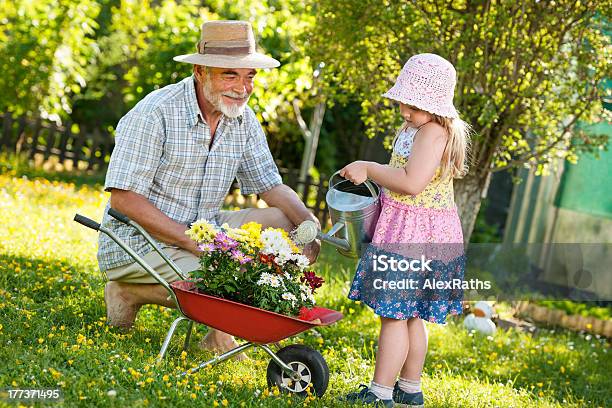 Foto de Jardinagem e mais fotos de stock de Avô - Avô, Carrinho de Mão - Equipamento de jardinagem, Adulto