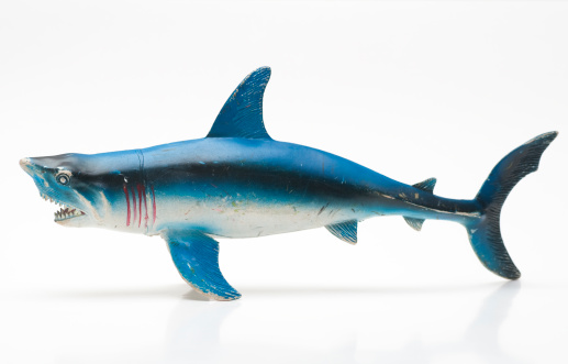 Plastic shark toy.
