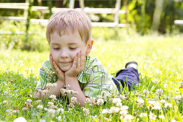 istock Little boy lying in clover flower field 177372328