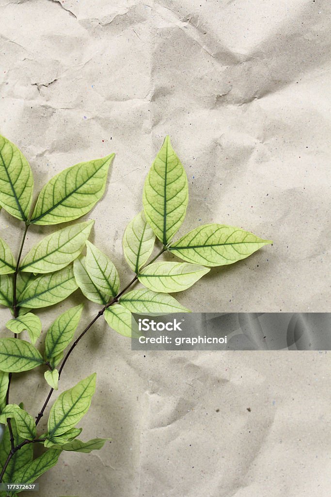 Grüne Blätter auf Recycling-Papier - Lizenzfrei Balkengerüst Stock-Foto