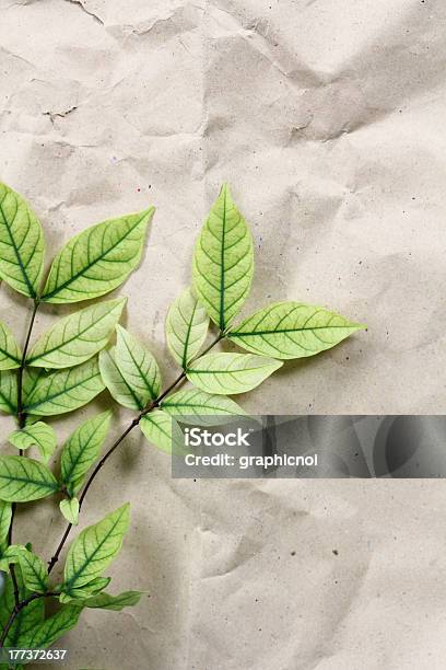 Grüne Blätter Auf Recyclingpapier Stockfoto und mehr Bilder von Balkengerüst - Balkengerüst, Baum, Bildhintergrund