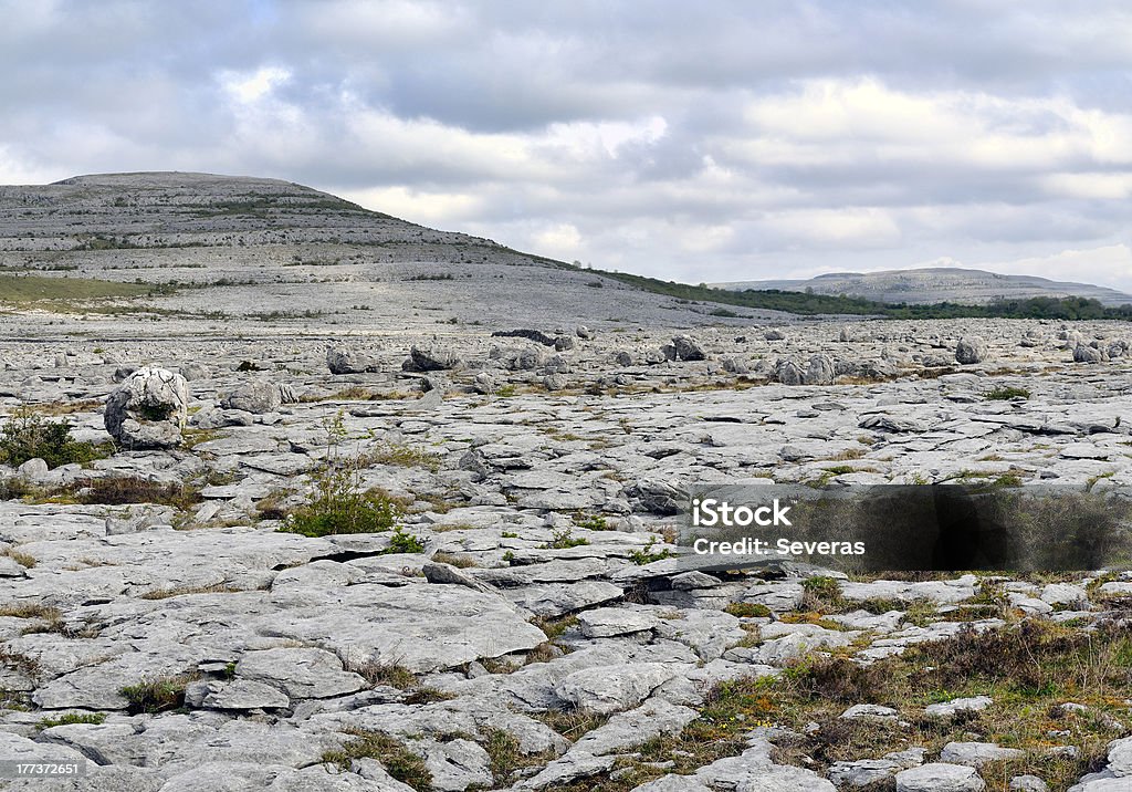 The Burren Landschaft - Lizenzfrei Baum Stock-Foto