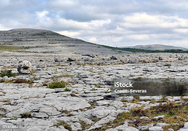 The Burren Landschaft Stockfoto und mehr Bilder von Baum - Baum, Fels, Felsblock