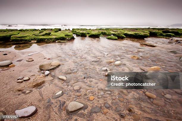 Green Reef Stock Photo - Download Image Now - Arranging, Awe, Backgrounds