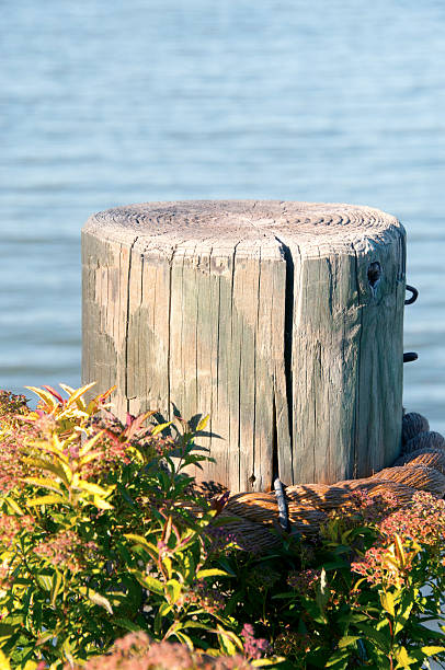 Wooden piling, rope, & colorful plants