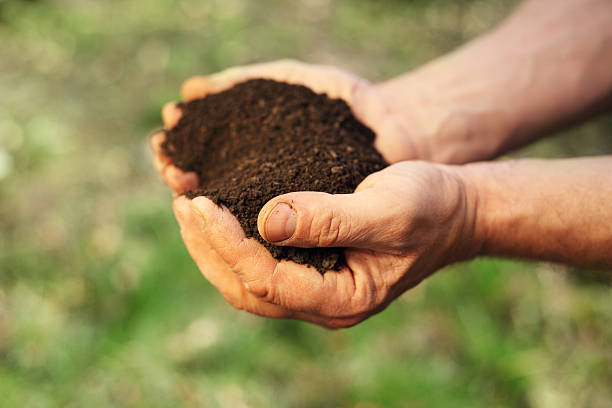 istock Image of soil in hands 177372960