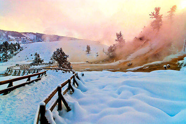 mammoth hot spring terrazas - parque nacional de yellowstone fotografías e imágenes de stock