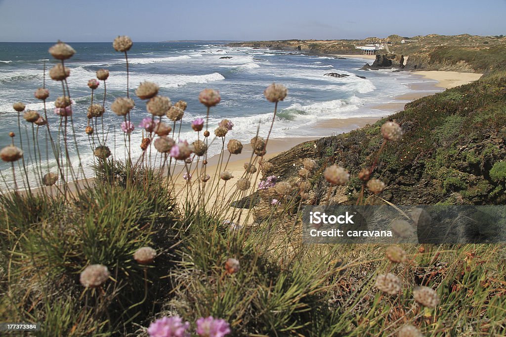 Almograve beach - Foto stock royalty-free di Alentejo