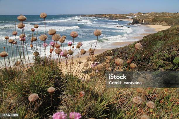 Almograve Beach - Fotografie stock e altre immagini di Alentejo - Alentejo, Ambientazione esterna, Cielo