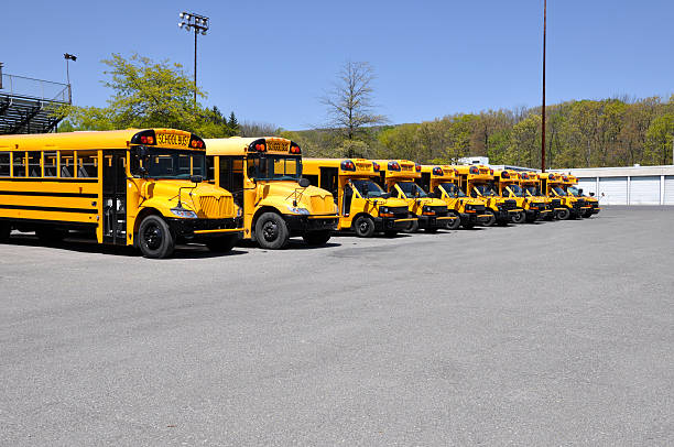istock row of school buses 177374138
