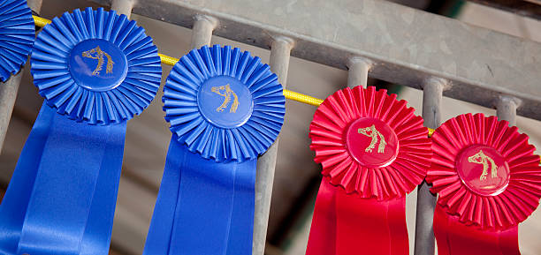 istock Horse Show Ribbons 177374284
