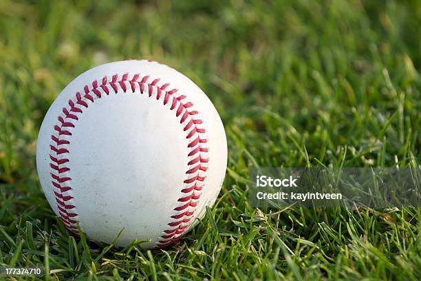 Baseballspieler Auf Dem Rasen Stockfoto und mehr Bilder von Alt - Alt, Ausrüstung und Geräte, Fotografie