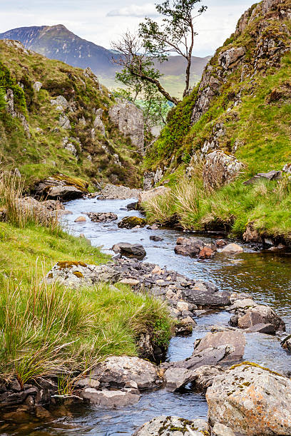 Dale Head Beck stock photo