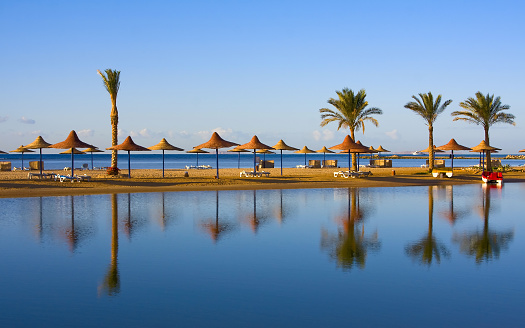 Landscape of palms and umbrellas along Egyptian shoreline