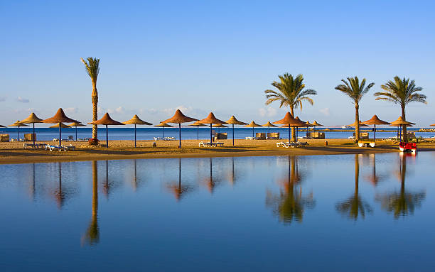 Landscape of palms and umbrellas along Egyptian shoreline stock photo