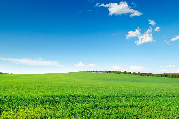 istock picturesque green field 177375791