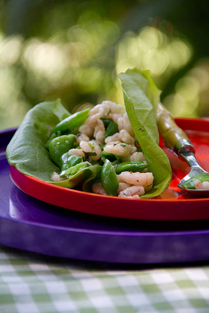 Shrimp and Sugar Snap Pea Lettuce Wraps stock photo