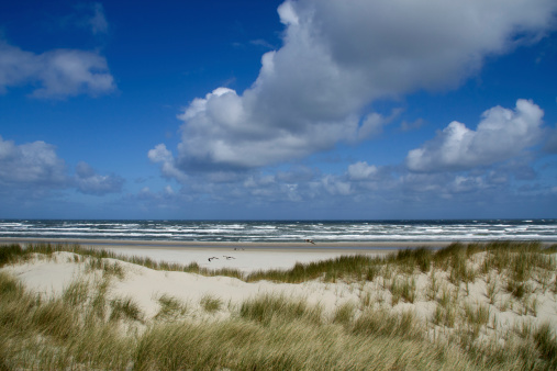 Sand dunes on beach at north sea