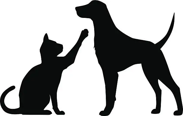 Vector illustration of Dog Cat Play