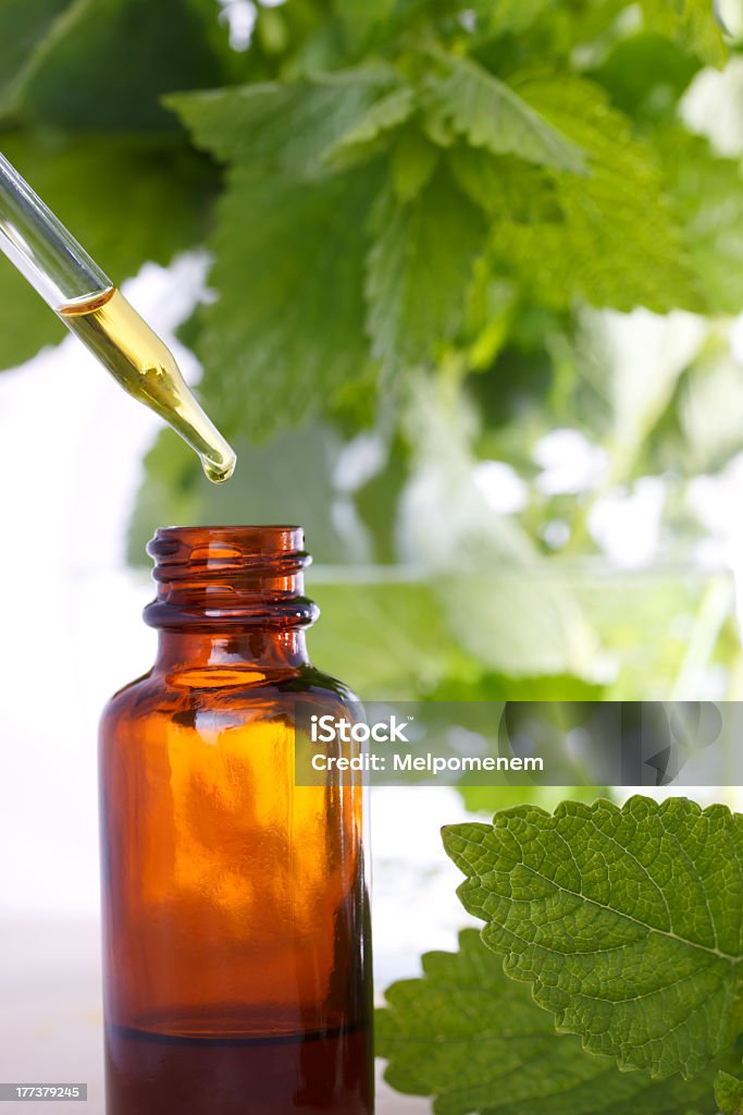 A picture of a herbal medicine dropped bottle Herbal medicine with dropper bottle and mints Alternative Medicine Stock Photo