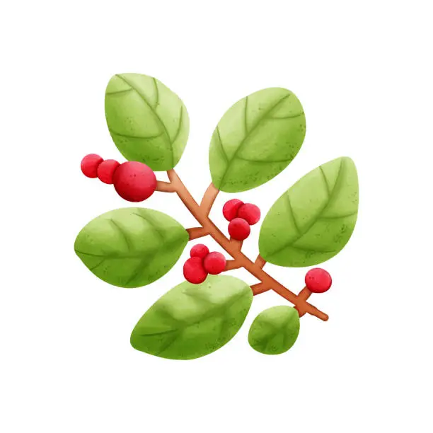 Vector illustration of Cherry and leaf Christmas decorations